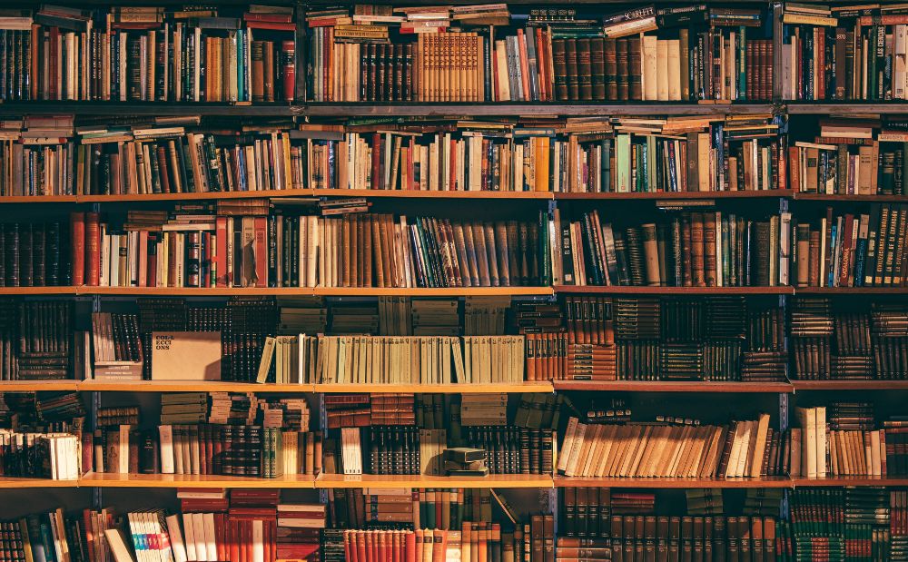 Diseño sin título 2025 11 10T120935.347 Diseño sin título 2025 11 10T120935.347